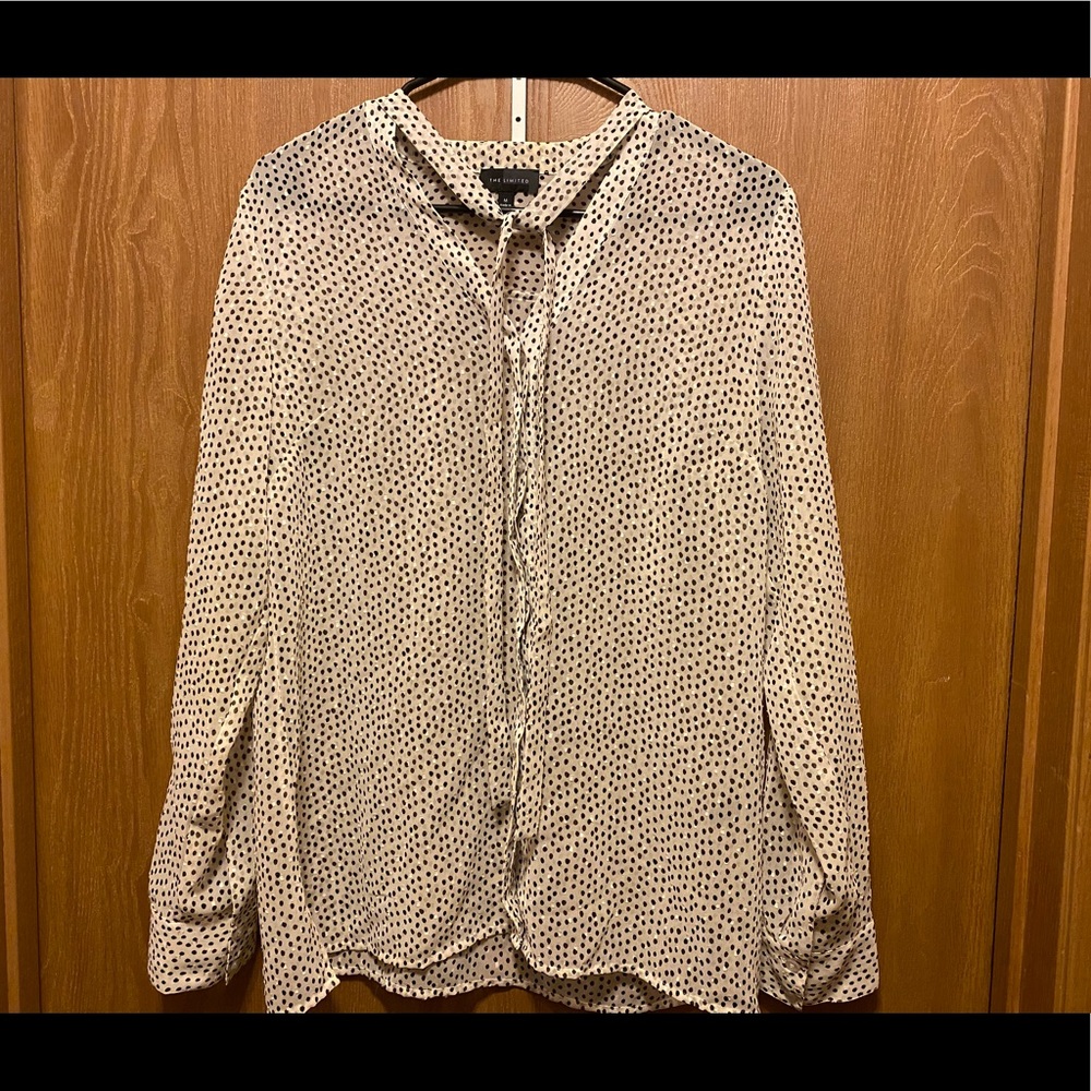 The Limited Polka Dot Blouse